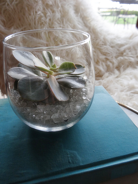 Tiny terrarium - Monica Hart