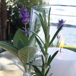 All Natural Mosquito Repellents - Summer Entertaining Guide All Natural Mosquito Repellents - Summer Entertaining Guide