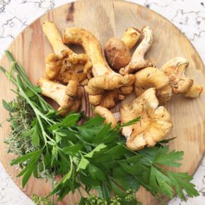 Earthy Chanterelle Mushrooms with Garden Herbs Earthy Chanterelle Mushrooms with Garden Herbs