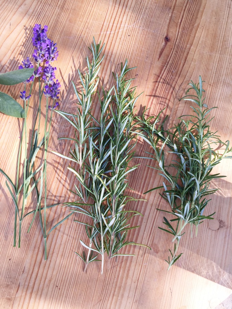 So over the next few weeks, I'll be sharing tips and tricks to help YOU keep your c o o l outdoors this summer! I'm kicking off my Summer Entertaining Guide with all natural mosquito repellents that you can pluck straight from your garden. There isn't a citronella candle in sight! Here's the thing about citronella candles... They are simply too strong for my olfactory taste and tend to take over any gathering. Opt instead for these all natural mosquito repellents.