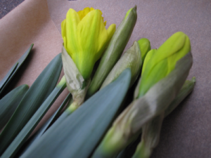 l_daffs4