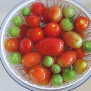Roasted Tomatoes ~