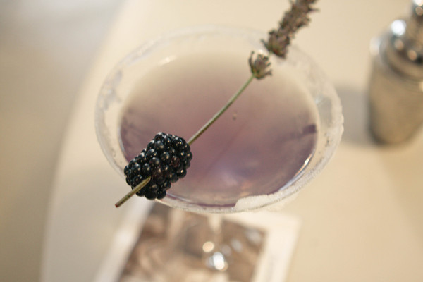 Lavender and blackberry Martini Drop - Monica Hart - Girls Night In - Stefanie Knowlton Photograpy