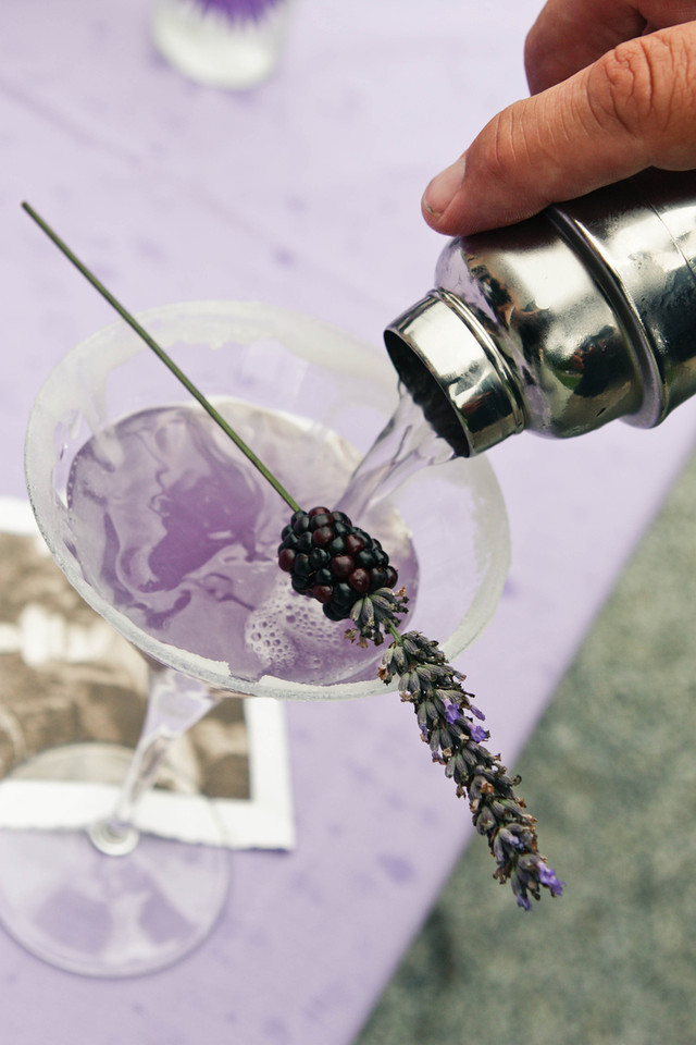 Lavender Blackberry Martini Drop ~ Monica Hart - Girls Night In - Stefanie Knowlton Photography