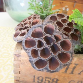 Autumn Decor ~ Fall Woodland Vibe Autumn Decor ~ Fall Woodland Vibe