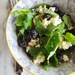 Go-Getters' Guide to: A Simple & Delicious Salad - Kale & Blueberries