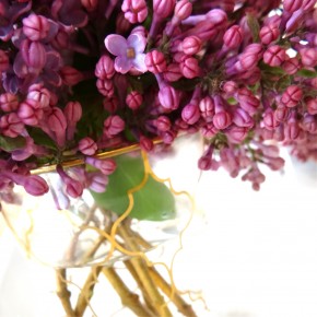 Lilac & Gold ~ Lilac & Gold ~