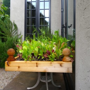 DIY Garden Salad Bar