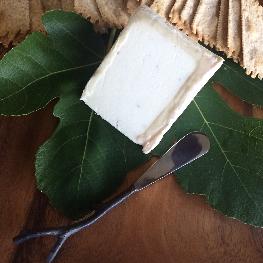 Cheese & fig leaves - Monica Hart