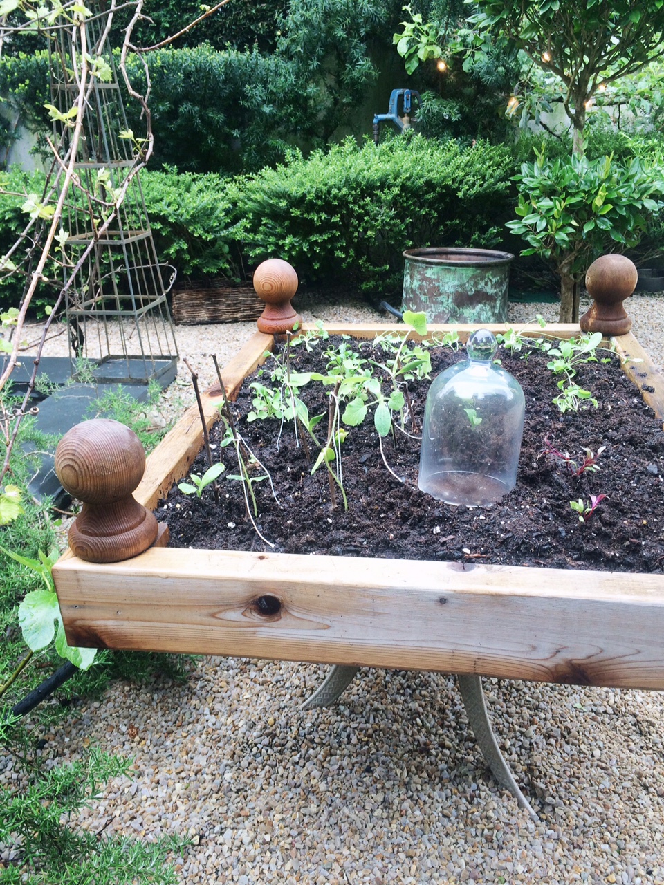  Raised Garden Bed & Kitchen Garden Starts from seed - Monica Hart La Famiglia Design