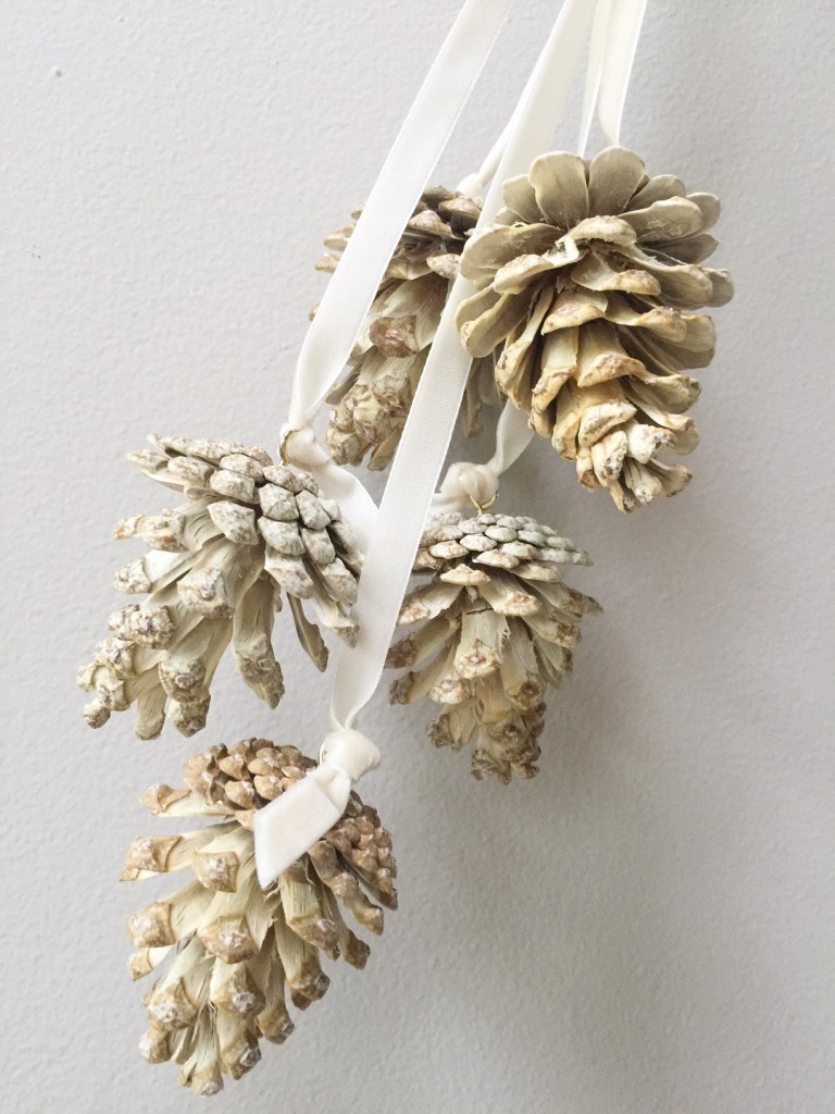 Bleached Pinecones! DIY Holiday Gifts with Monica Hart on KING 5 Seattle