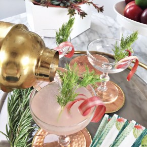 Come Crash my Rhubarb Martini Drop Mini Cocktail Party from the Party Crush Studio!