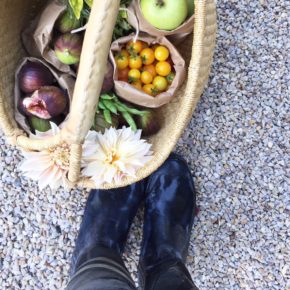 Fall Kitchen Garden and Burberry Boots Fall Kitchen Garden and Burberry Boots