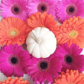 Monday Motivation with Fall Pumpkins and Florals Monday Motivation with Fall Pumpkins and Florals