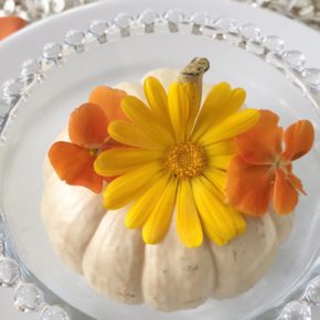 DIY Fall Floral No Carve Pumpkins in Seconds! DIY Fall Floral No Carve Pumpkins in Seconds!