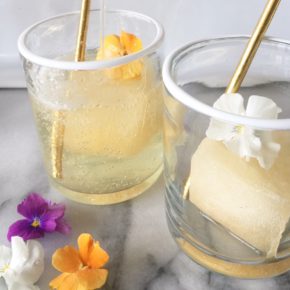 Mimosa Ice Cubes with a Tropical Twist