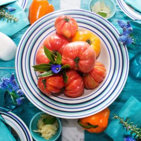 POP of Color Pasta Party GIVEAWAY From The Bellevue Collection in Mediterranean Blue! POP of Color Pasta Party GIVEAWAY From The Bellevue Collection in Mediterranean Blue!